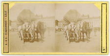 Stereo, France, Charrette à cheval sur une place de ville à identifier, Lille ?,