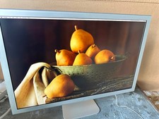 Apple Cinema Display  30 inch