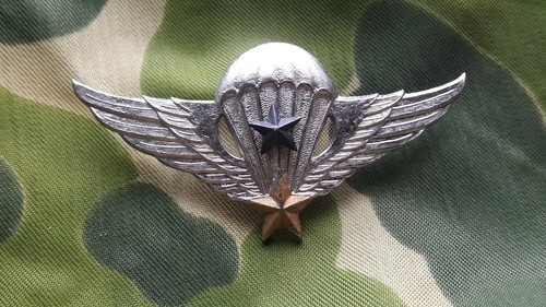 Insigne brevet parachutiste - brevet,