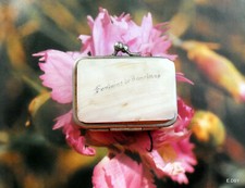 ANCIEN PORTE MONNAIE EN NACRE