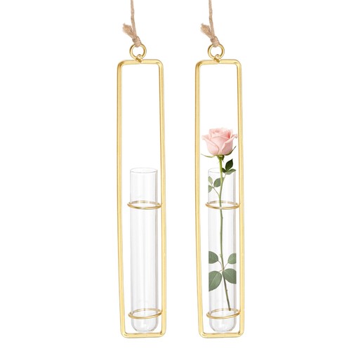 Tube vase propagation - tube,