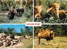 Carte Postale - Animaux -