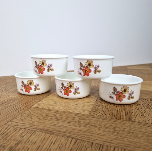 Lot ramequins arcopal - ramequins,
