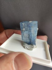Très Belle Aigüe Marine