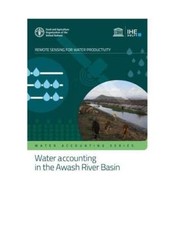 Water accounting in the Awash River Basin: remote sensing for water productivity