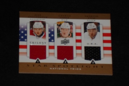 Alex galchenyuk charlie coyle - alex,