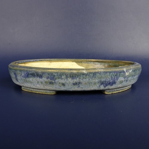 Pot bonsaï japonais - bonsaï,