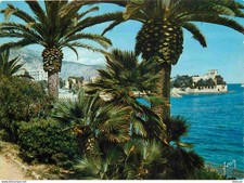 Carte Postale - 06 -