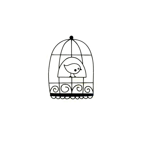 Tampons transparents cage - transparents,
