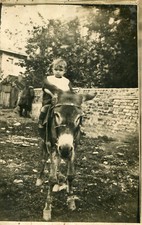 Carte PHoto à identifier Enfant heureux monté sur un âne Muret Maison