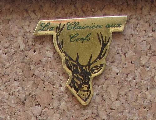 Pin sport chasse - pin's,