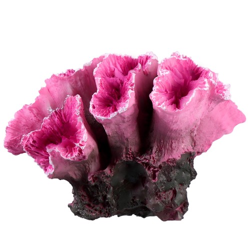 Décoration aquarium - décoration, d'aquarium