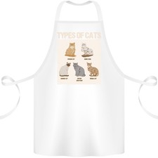 Types chat persan siamois - chat,