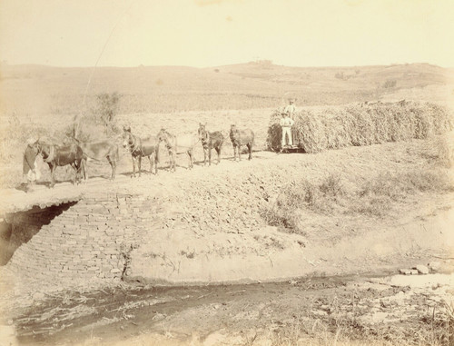 Photo industr koppel 1895 - industr.,