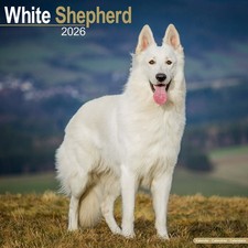 Calendrier 2026 - BERGER BLANC SUISSE