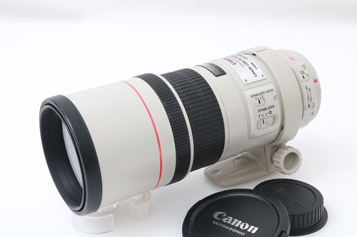 Canon ef300mm f4l usm - ef300mm,
