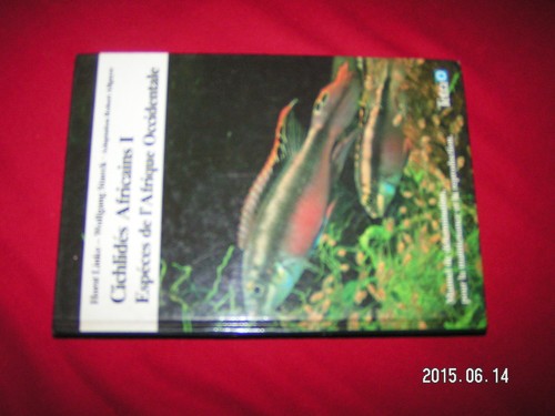 Cichlidés africains i - africains,