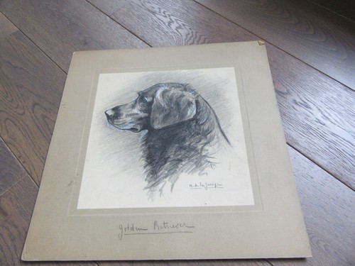 Dessin chasse chien signe - signe, la
