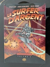 LE SURFER D'ARGENT