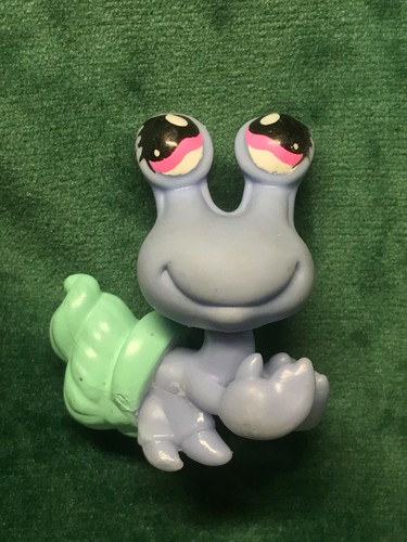 Petshop bernard hermite - 🌺petshop, l'hermite