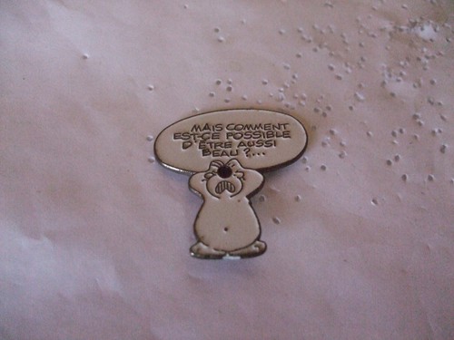 Pins chien cubitus - bd,