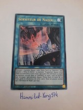 Yu-Gi-Oh! Serviteur de Nadir 