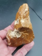 Middle Paleolithic Neanderthal France Mousterian Levallois Point in Jasper