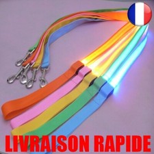 Laisse Nylon LED Chien Nuit Sécurité Clignotant Obscurité Animaux Chat Protéger