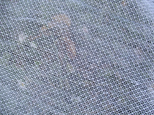 Large bande tulle coton point - large,
