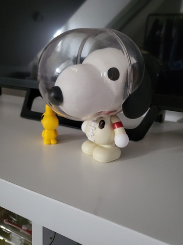 Snoopy and woodstock medicom - and,