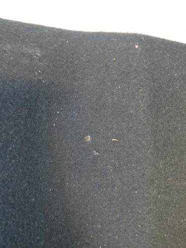 Plage arriere peugeot 208 - arriere, 1