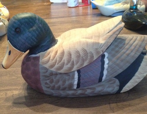 Studio nova mallard duck decoy - studio,