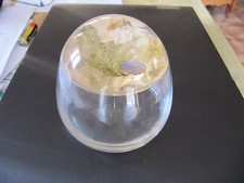 boite verre fleurs séchées incrustées couvercle bonbonnière pot déco bijoux