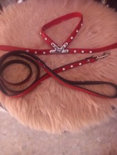 HARNAIS + LAISSE CUIR ROUGE AVEC DES STRASS