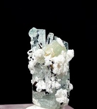 Magnifique spécimen de