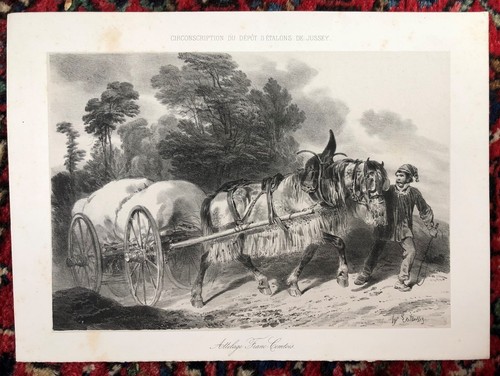 Lithographie originale - lithographie,