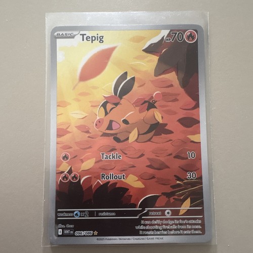 Nintendo tepig 096 086 - tepig, 096/086