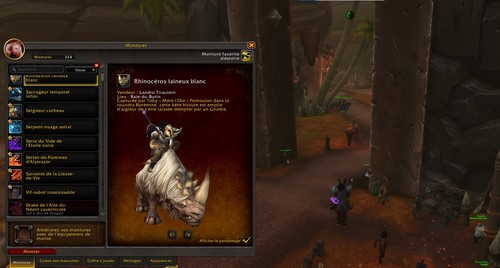Compte wow midnight - compte,