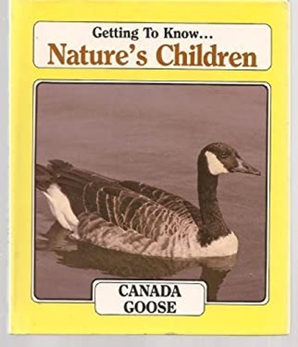 Canada goose - canada,