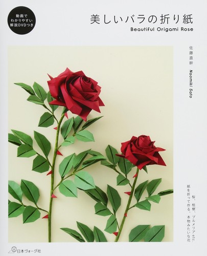 Beau livre artisanat - livre, d'artisanat