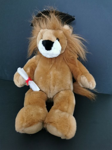 Peluche ours teacher russ - ,