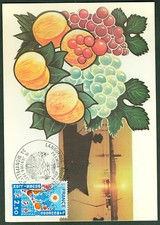 CARTES 1ER JOUR MAXIMUM  REGIONS LANGUEDOC ROUSSILLON  15/01/77  N°66