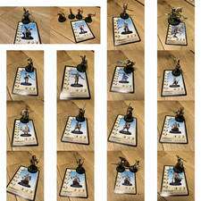 Intégrale Rackham Confrontation Lions d'Alahan Héro Boxes