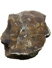 Bois Fossilisé ou Pétrifié ou Silex marron ? 814 grammes 110 mm X 114 mm x 60 mm
