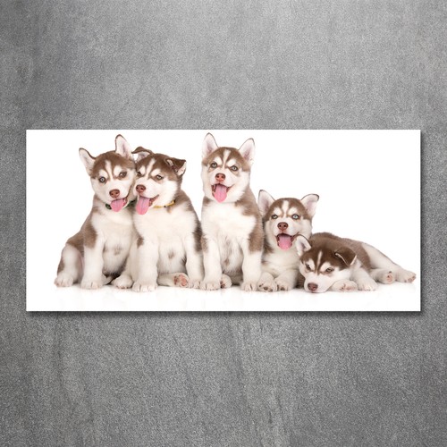 Tulup image sur - tulup, verre