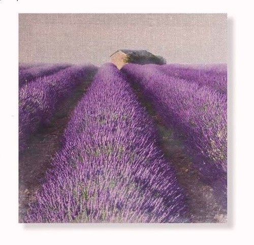 Cadre toile tableau champ - champ, de