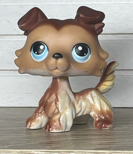 Petshop chien colley 58 - chien,