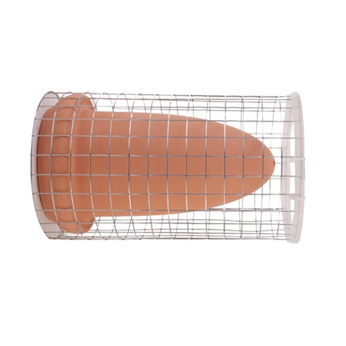 Discus breeding aquatic - breeding,