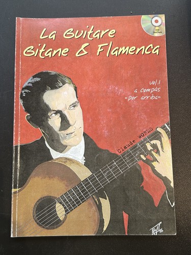 Guitare gitane flamenca - a,