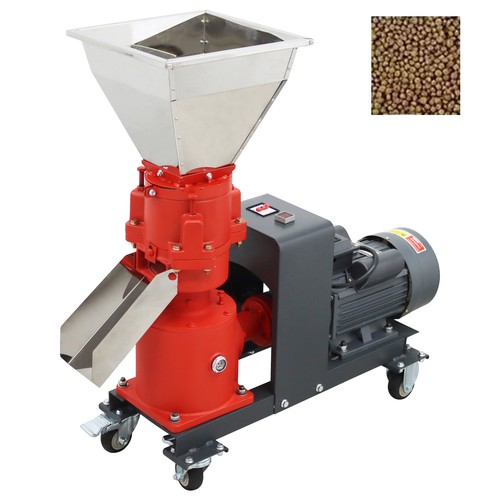 Animal chicken feed - chicken,